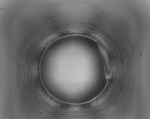 X0000062670402200512230952