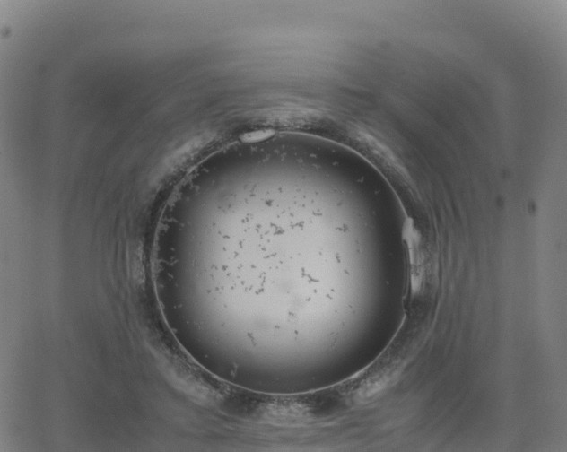 X0000062670403200512230952