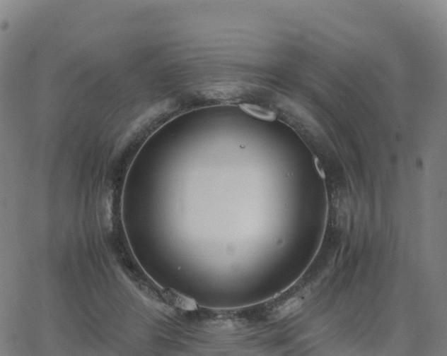 X0000062670404200512230952