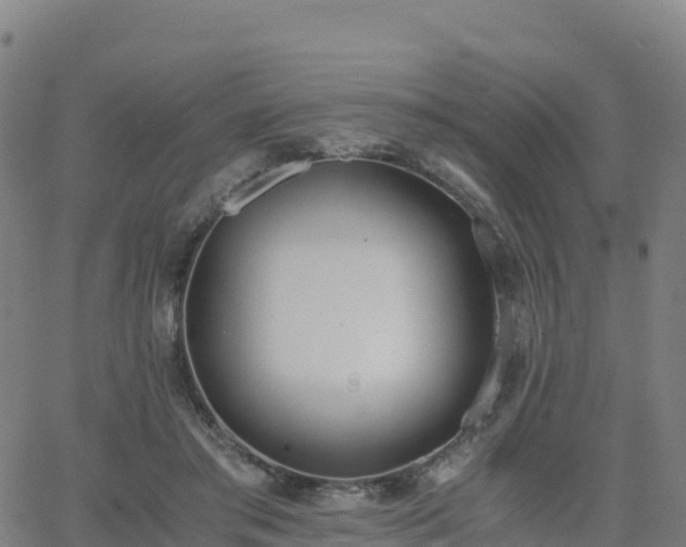 X0000062670405200512230952