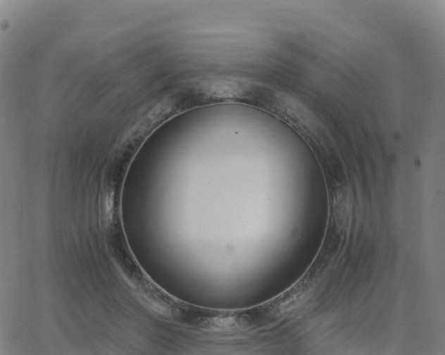 X0000062670406200512230952