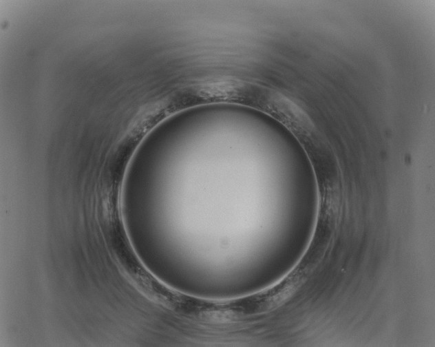 X0000062670408200512230952