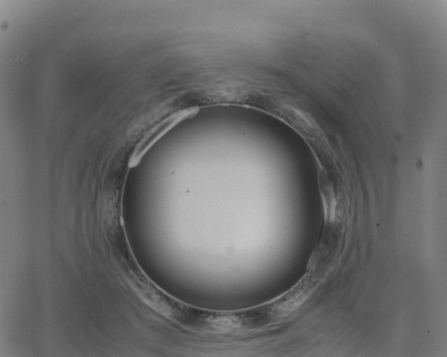 X0000062670409200512230952