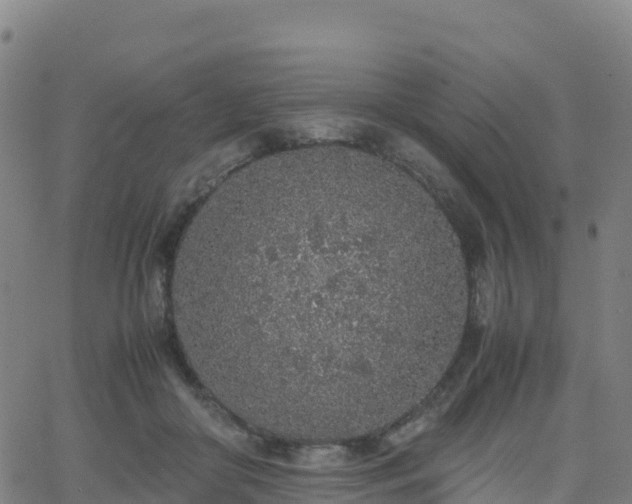 X0000062670410200512230952