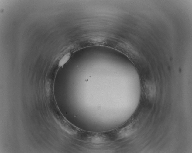 X0000062670412200512230952