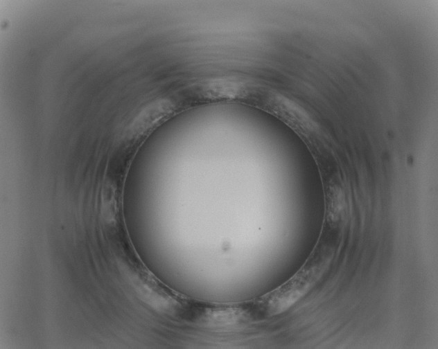 X0000062670414200512230952