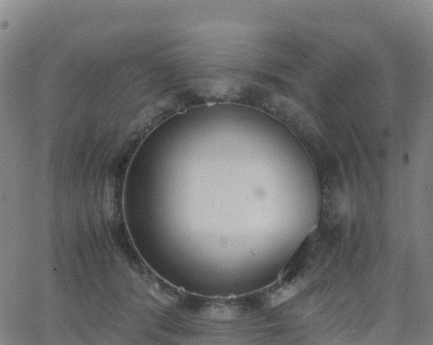 X0000062670416200512230952