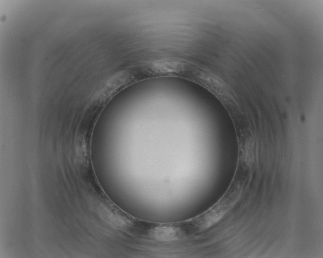 X0000062670418200512230951