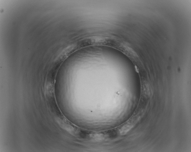 X0000062670419200512230951