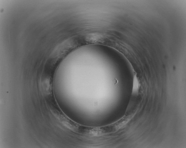 X0000062670420200512230951