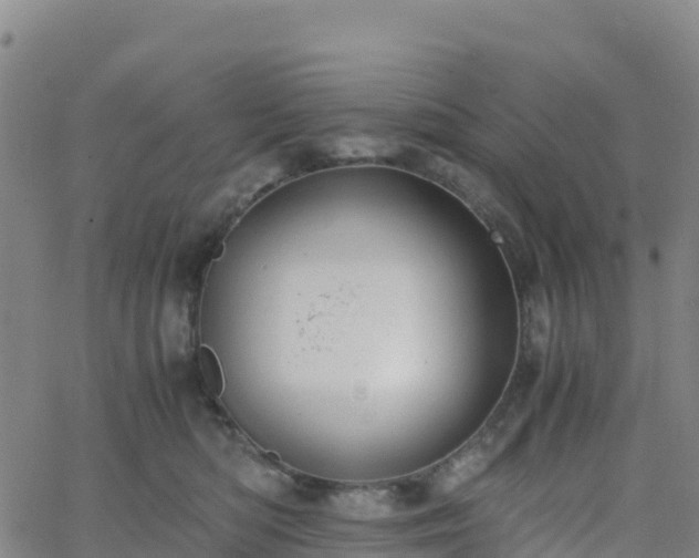 X0000062670422200512230951