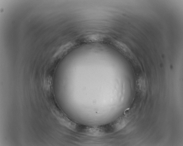 X0000062670423200512230951