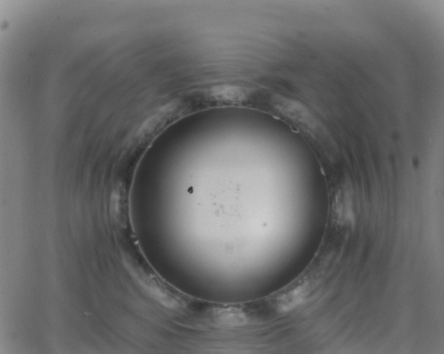 X0000062670424200512230951