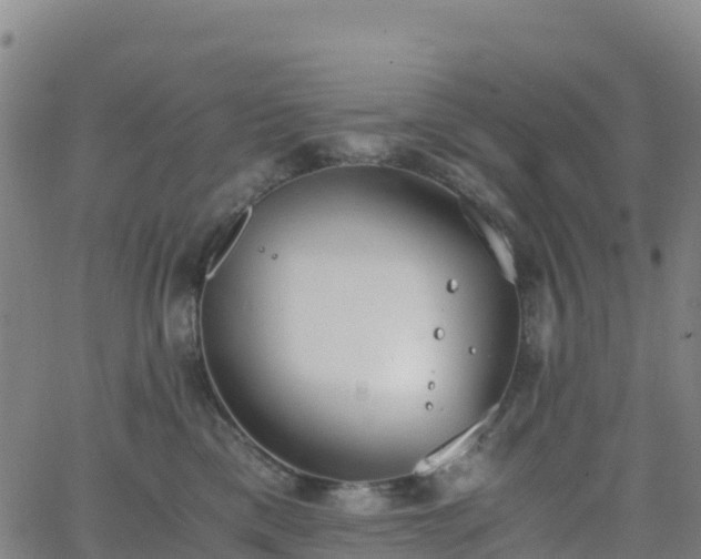 X0000062670425200512230951