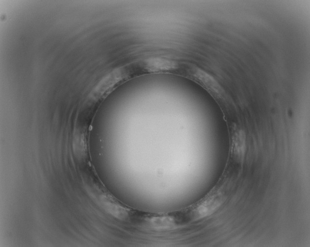 X0000062670426200512230951