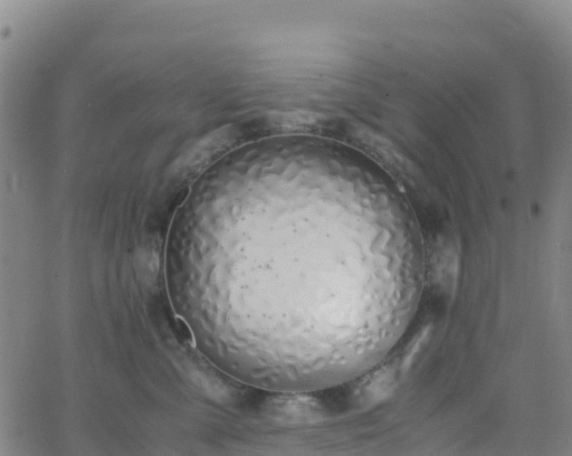 X0000062670427200512230951