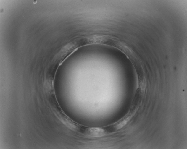 X0000062670429200512230951