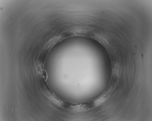 X0000062670430200512230951