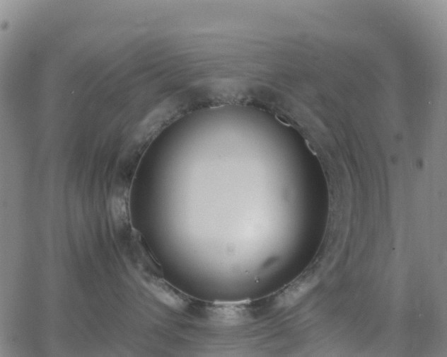 X0000062670432200512230951