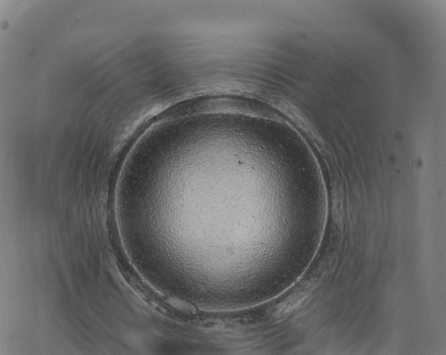 X0000062670434200512230950