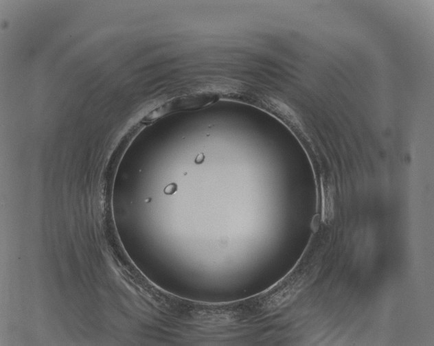 X0000062670435200512230951