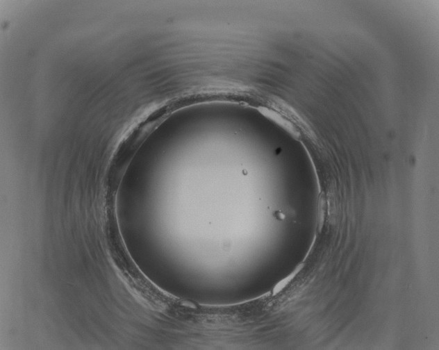 X0000062670436200512230951