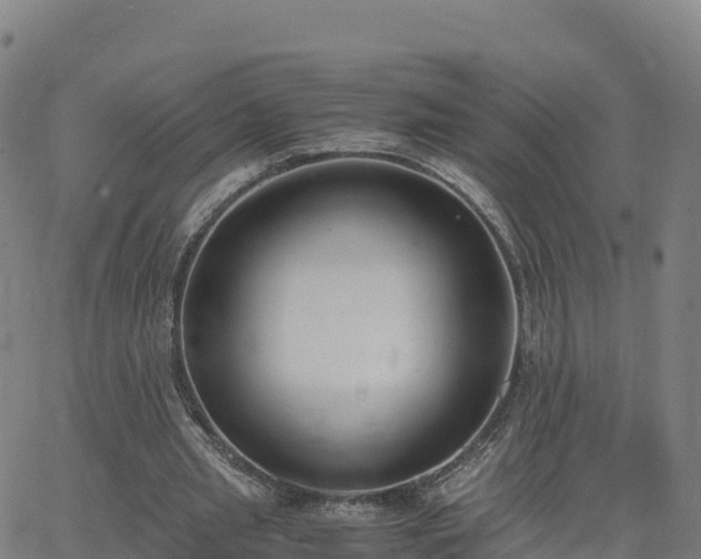 X0000062670437200512230951