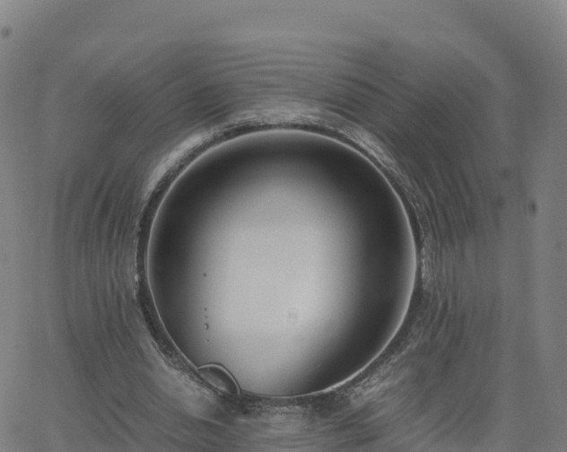 X0000062670438200512230951