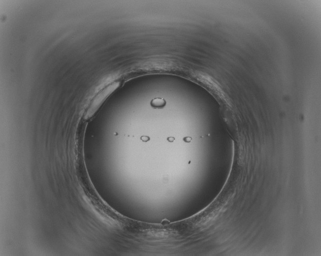 X0000062670439200512230951