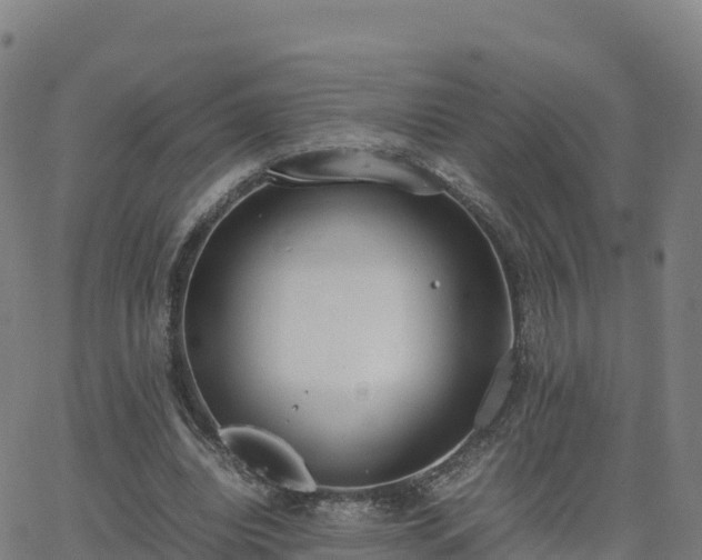 X0000062670440200512230951