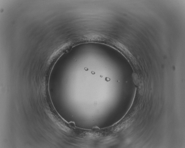 X0000062670442200512230951