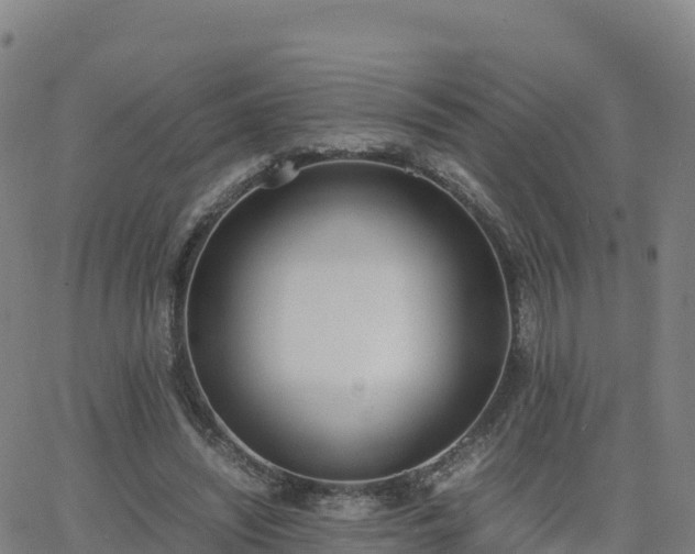 X0000062670444200512230951