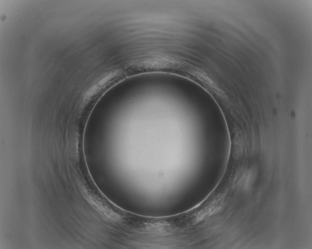 X0000062670446200512230951