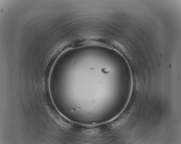 X0000062670447200512230951