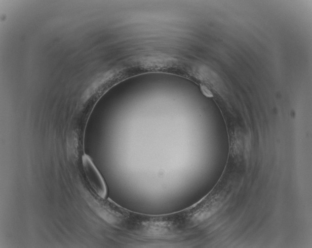 X0000062670448200512230951