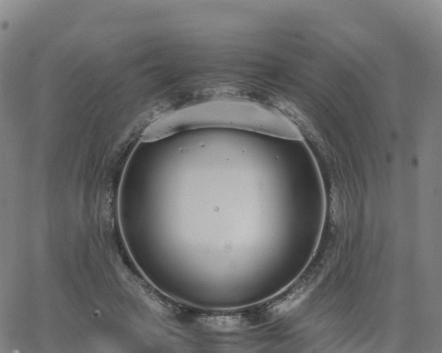 X0000062670449200512230951