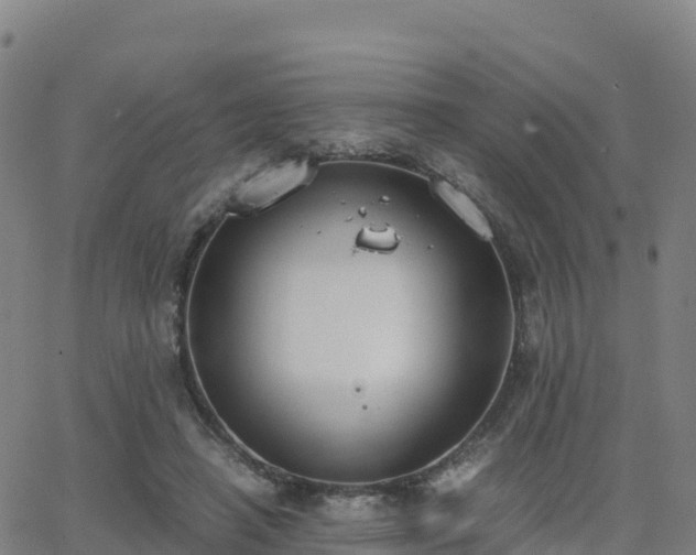 X0000062670450200512230951