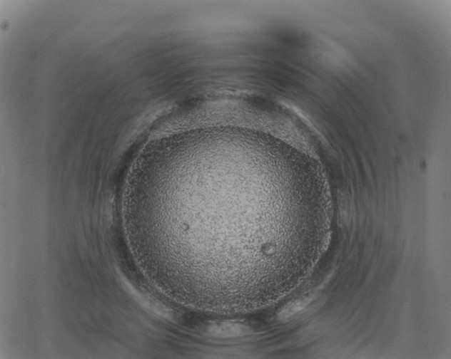 X0000062670451200512230951