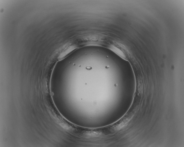 X0000062670453200512230951