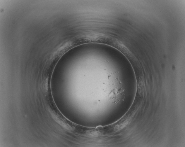 X0000062670454200512230951