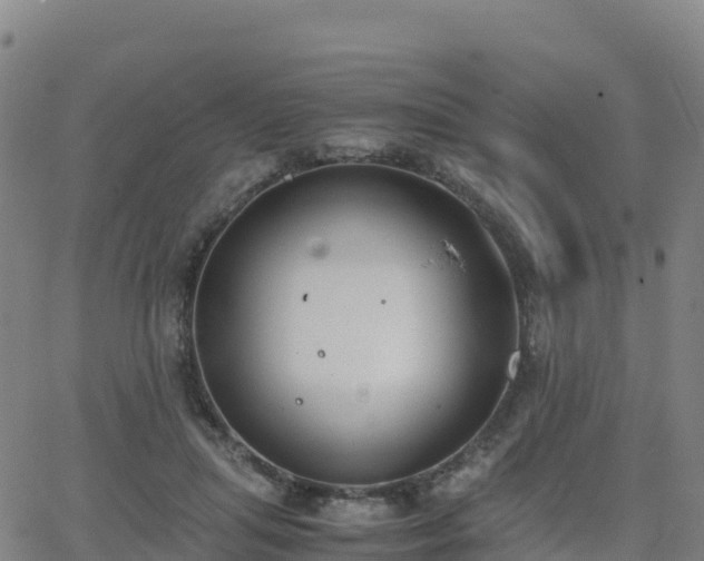 X0000062670455200512230951