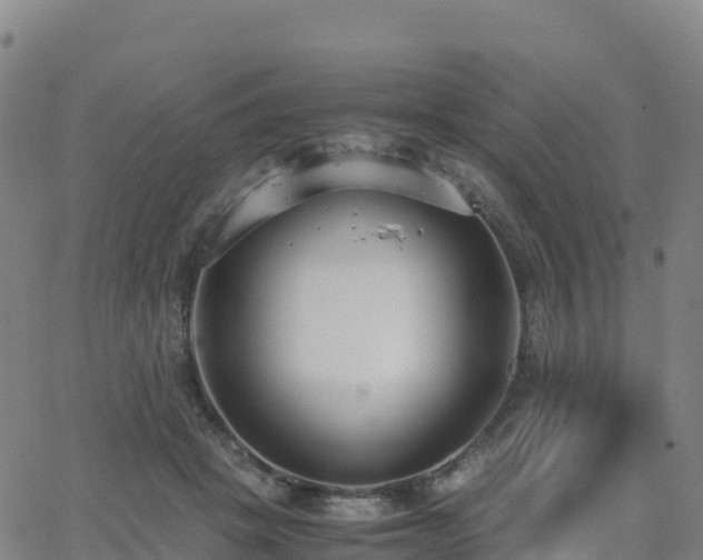 X0000062670457200512230951