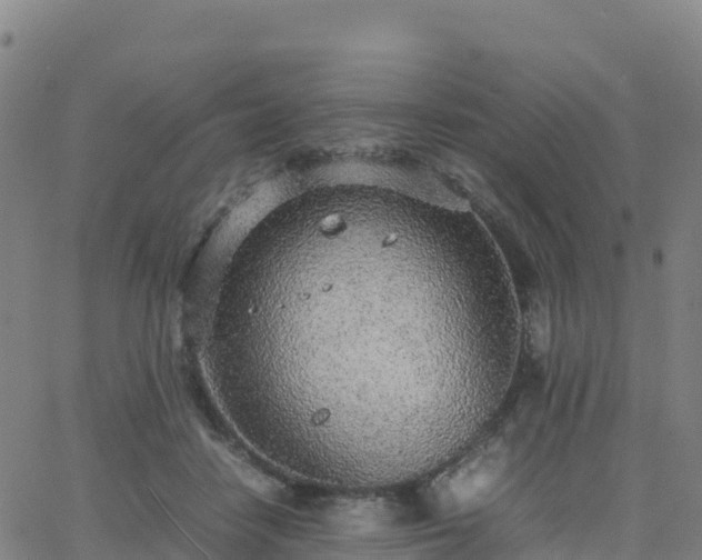 X0000062670458200512230951