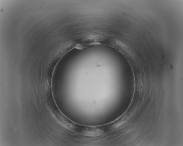 X0000062670459200512230951