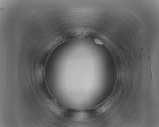 X0000062670460200512230951