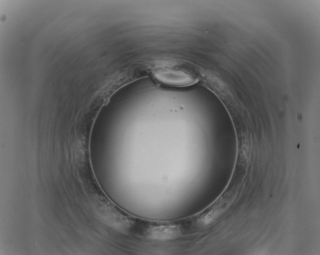 X0000062670461200512230951