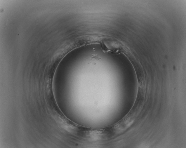 X0000062670462200512230951