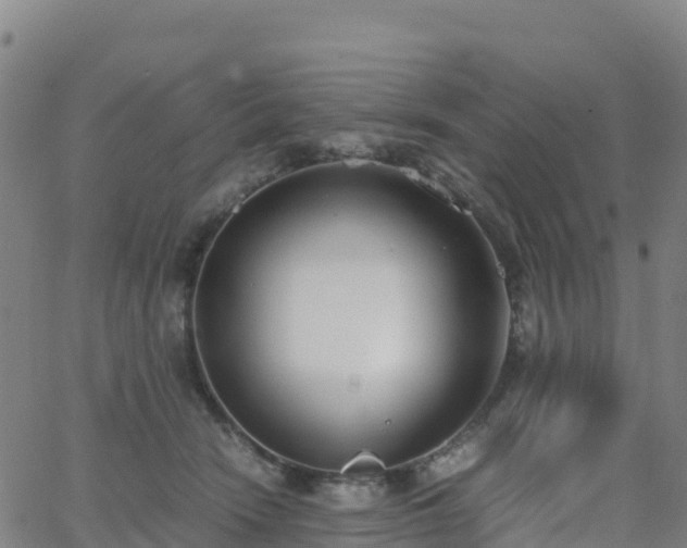 X0000062670466200512230951