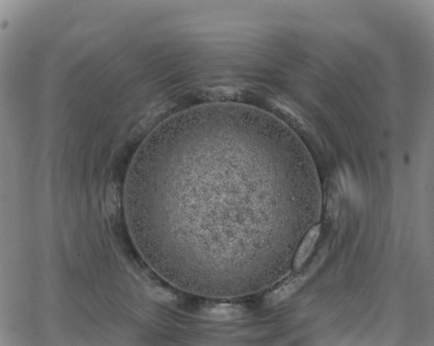 X0000062670467200512230951