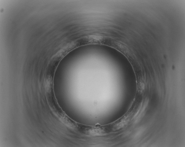 X0000062670468200512230951